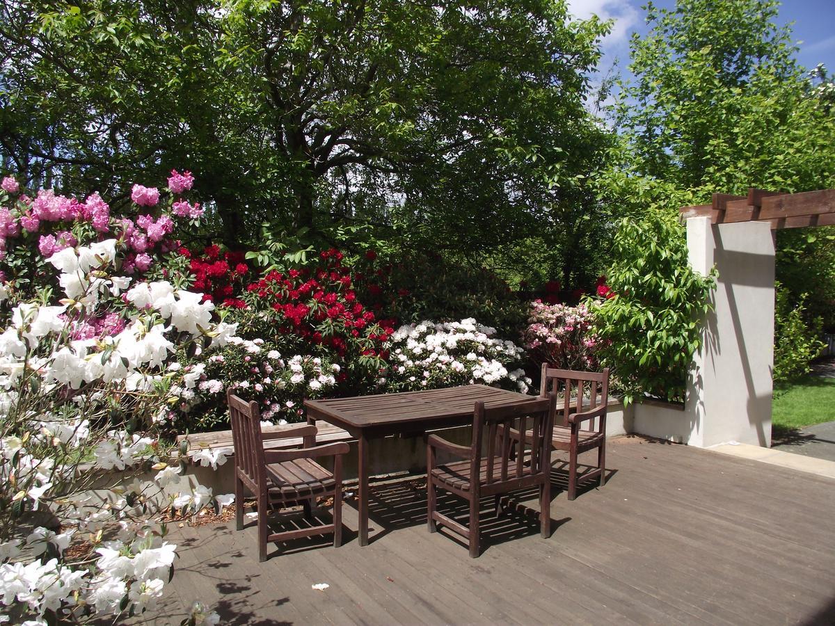 Shamrock Garden B&B Airport 크라이스트처치 외부 사진